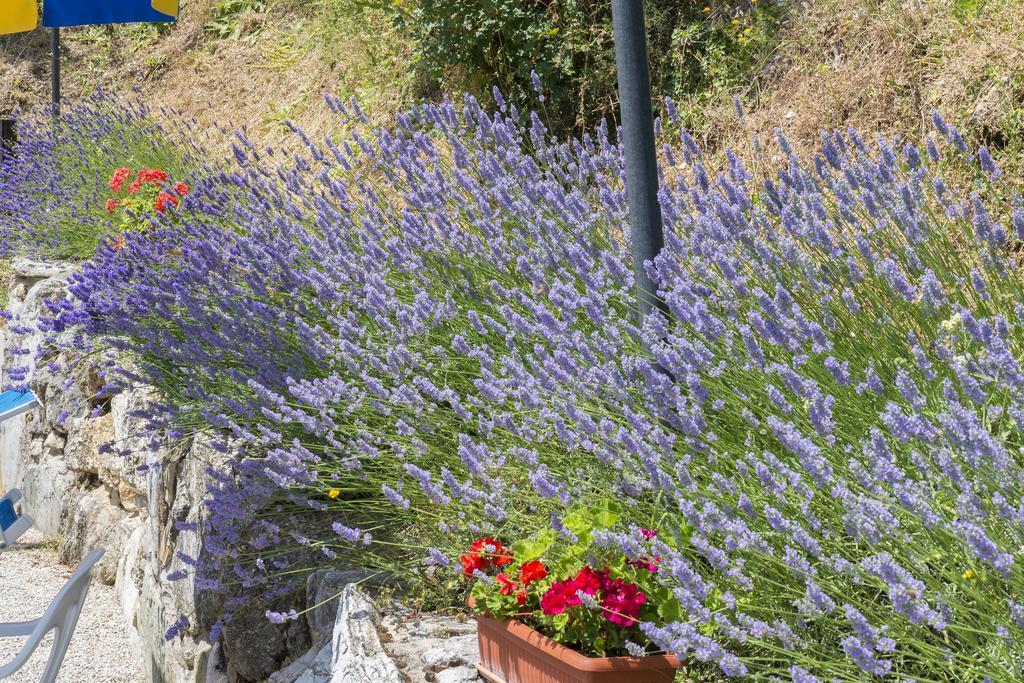 Agriturismo Monte Acuto Umbertide Extérieur photo
