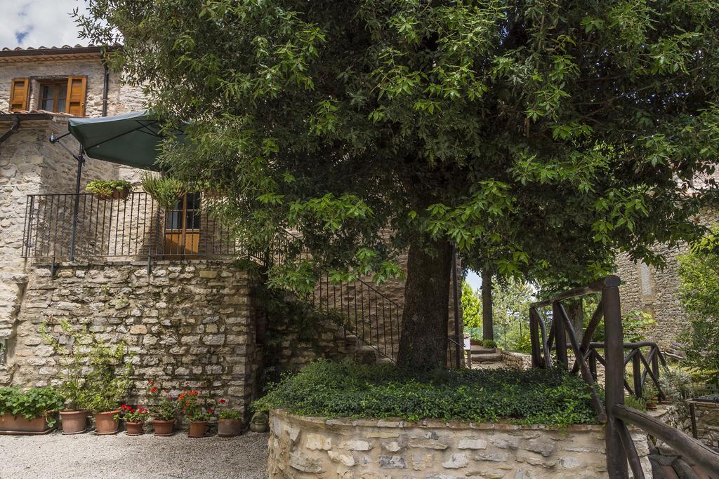 Agriturismo Monte Acuto Umbertide Chambre photo